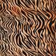 Бумага упаковочная глянцевая «Тигровый принт», 70*100 см